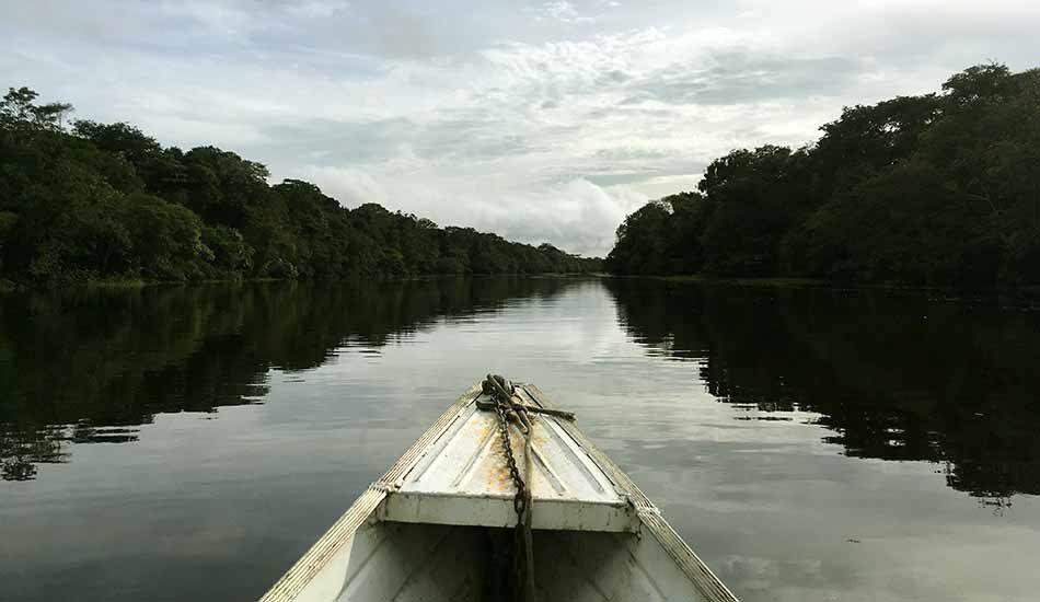 A white boat is floating down a river surrounded by trees.