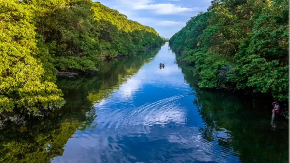 Parque do Cocó, one of the best places to shoot in Fortaleza