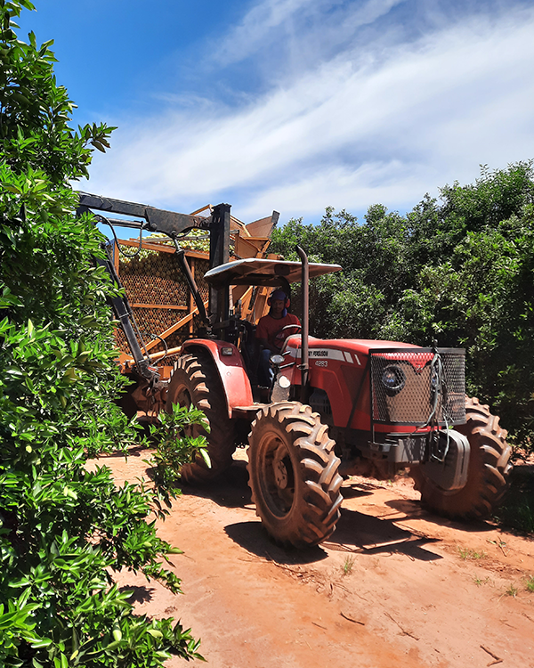 A red tractor is driving down a dirt road.