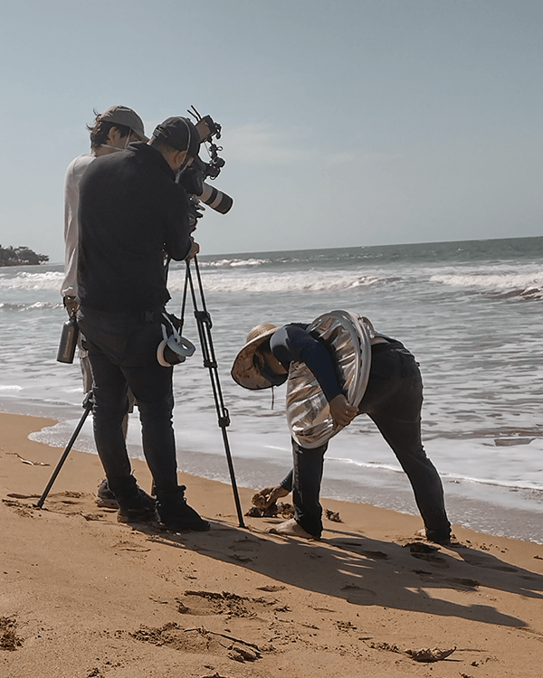 A group of people are standing on a beach with cameras.