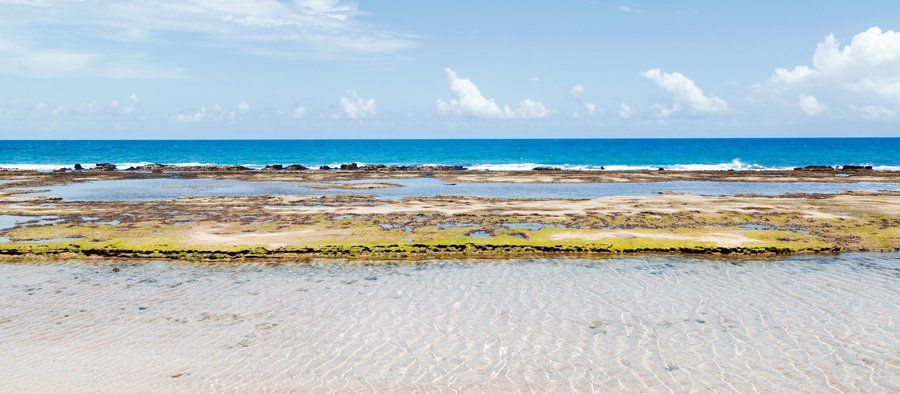 Muro Alto Beach in Ipojuca There is a large body of water in the middle of the beach.