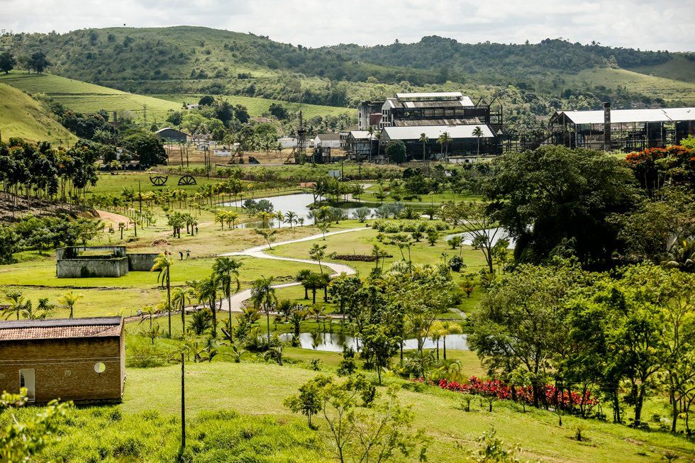 A lush green field with trees and buildings in the background