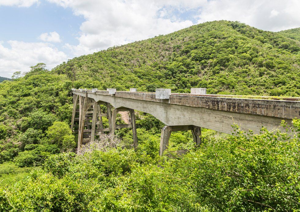 A bridge in the middle of a forest with a mountain in the background.