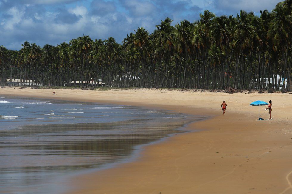 Two people are walking on a beach with palm trees in the background