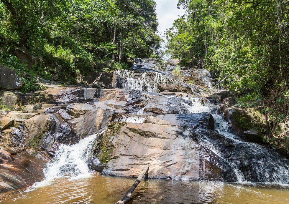 A waterfall is surrounded by trees and rocks in the middle of a forest.