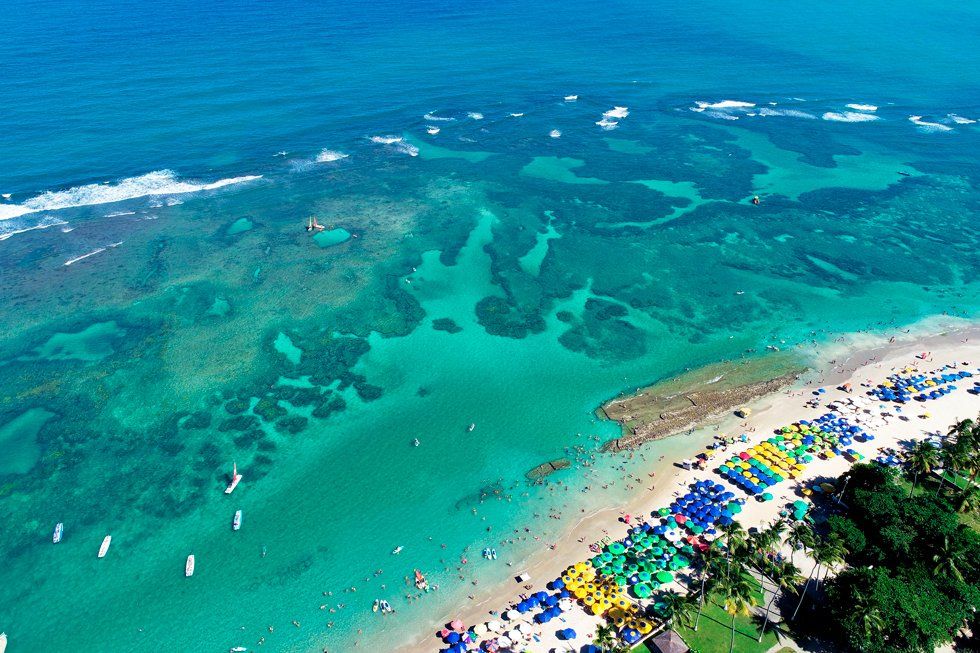 An aerial view of a beach with a lot of kayaks in the water.