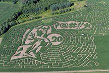 20th anniversary Thinker Maze design at the Great Vermont Corn Maze