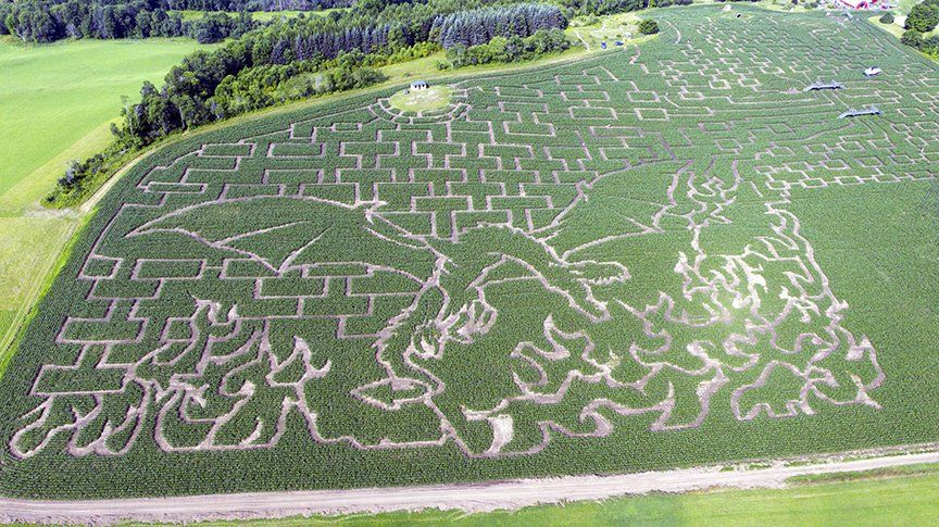 2021 Dragon Maze at the Great Vermont Corn Maze