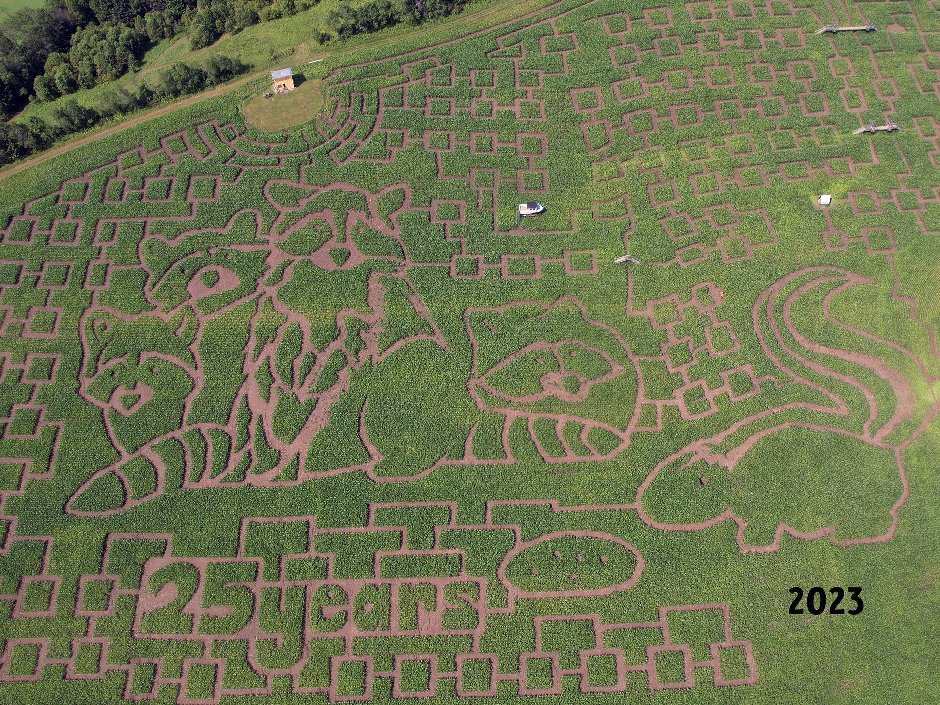 The 2023 aerial photo of the Great Vermont Corn Maze