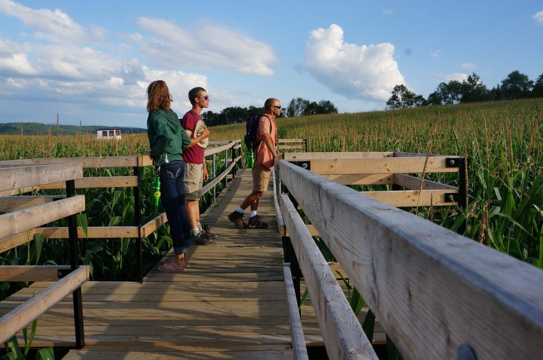 Atop one of the bridges inthe Great Vermont Corn Maze in North Danville,VT