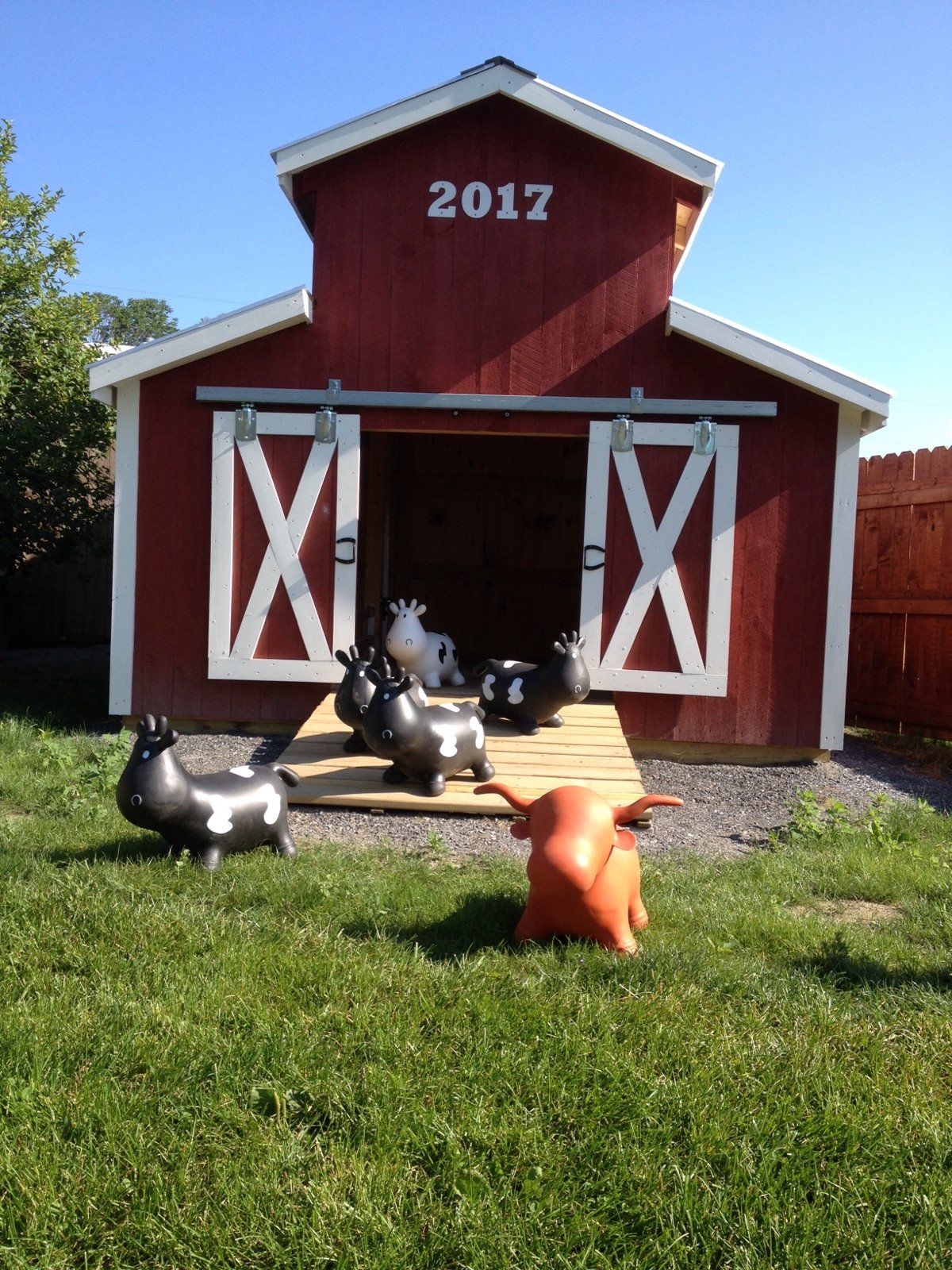 Bouncy Animals at the Great Vermont Corn Maze