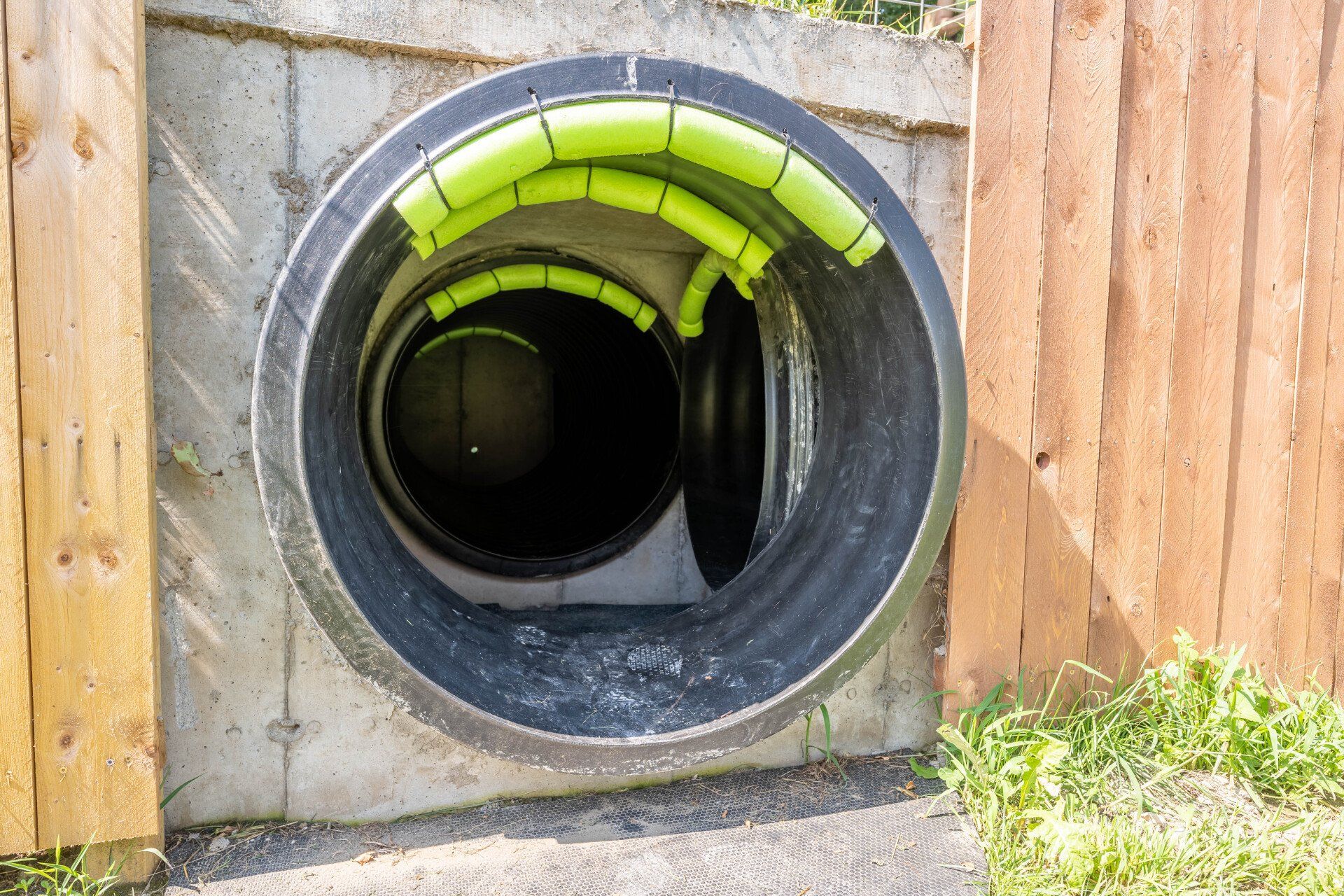 Gopher Tunnels - a spider web of underground tunnels at the Great Vermont Corn Maze