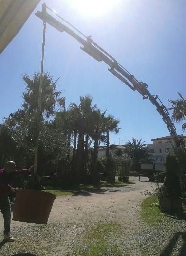 Piattaforma aerea per giardinaggio