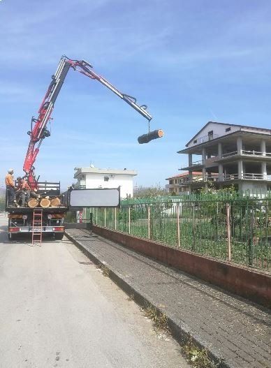 Piattaforma aerea per tronchi