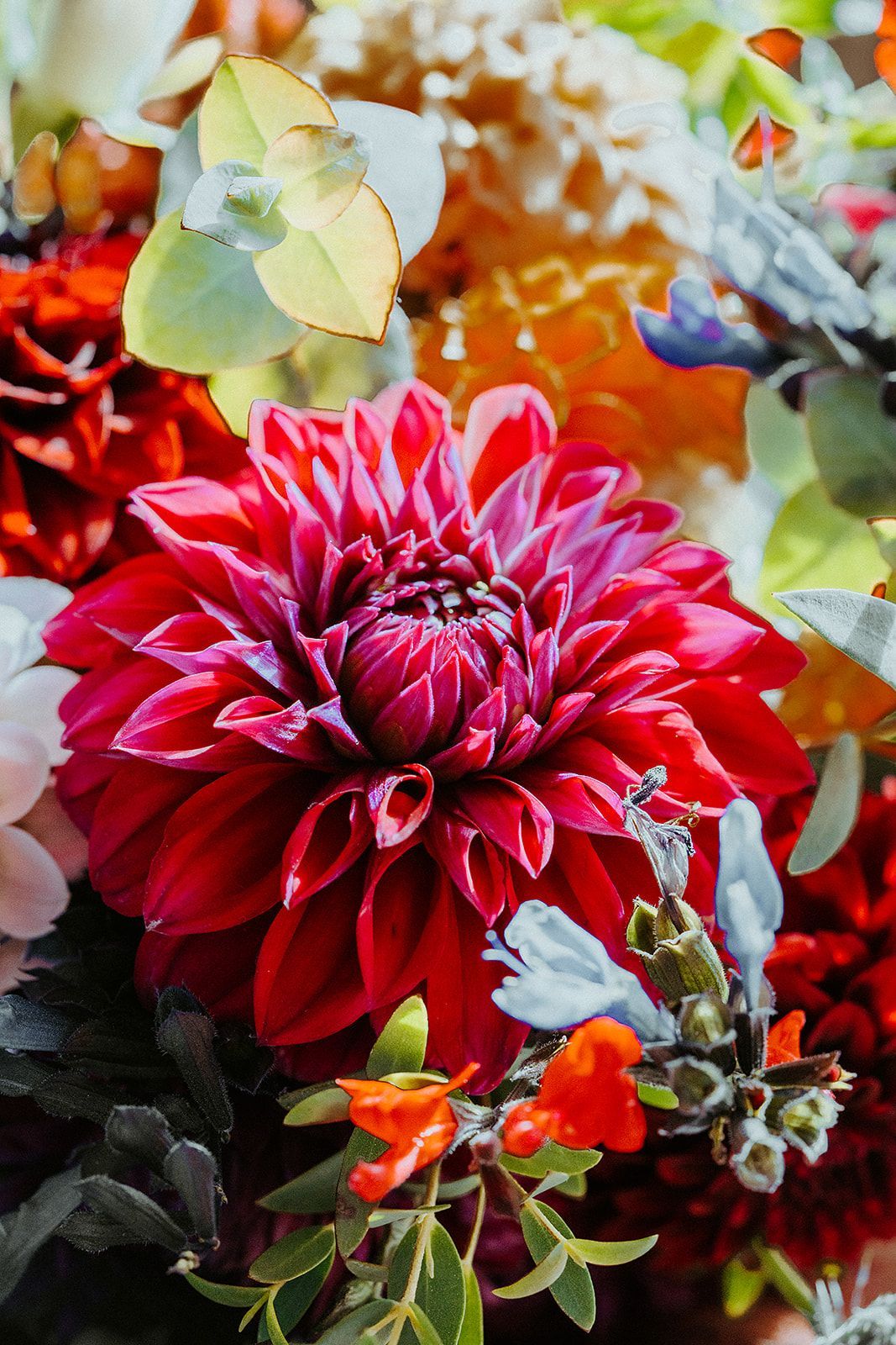 A close up of a red flower in a bouquet of flowers.