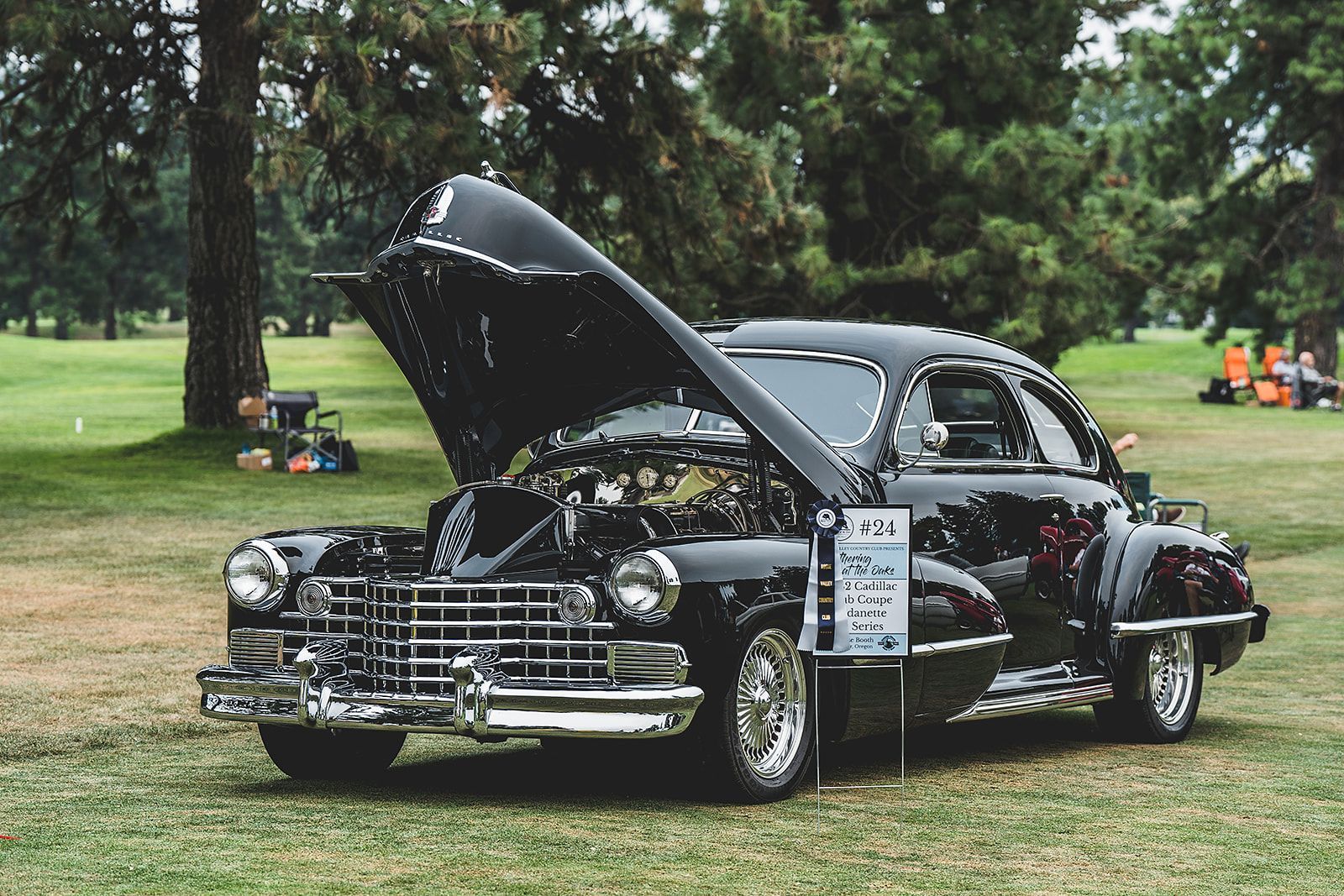 A black car with the hood up is parked in a grassy field.