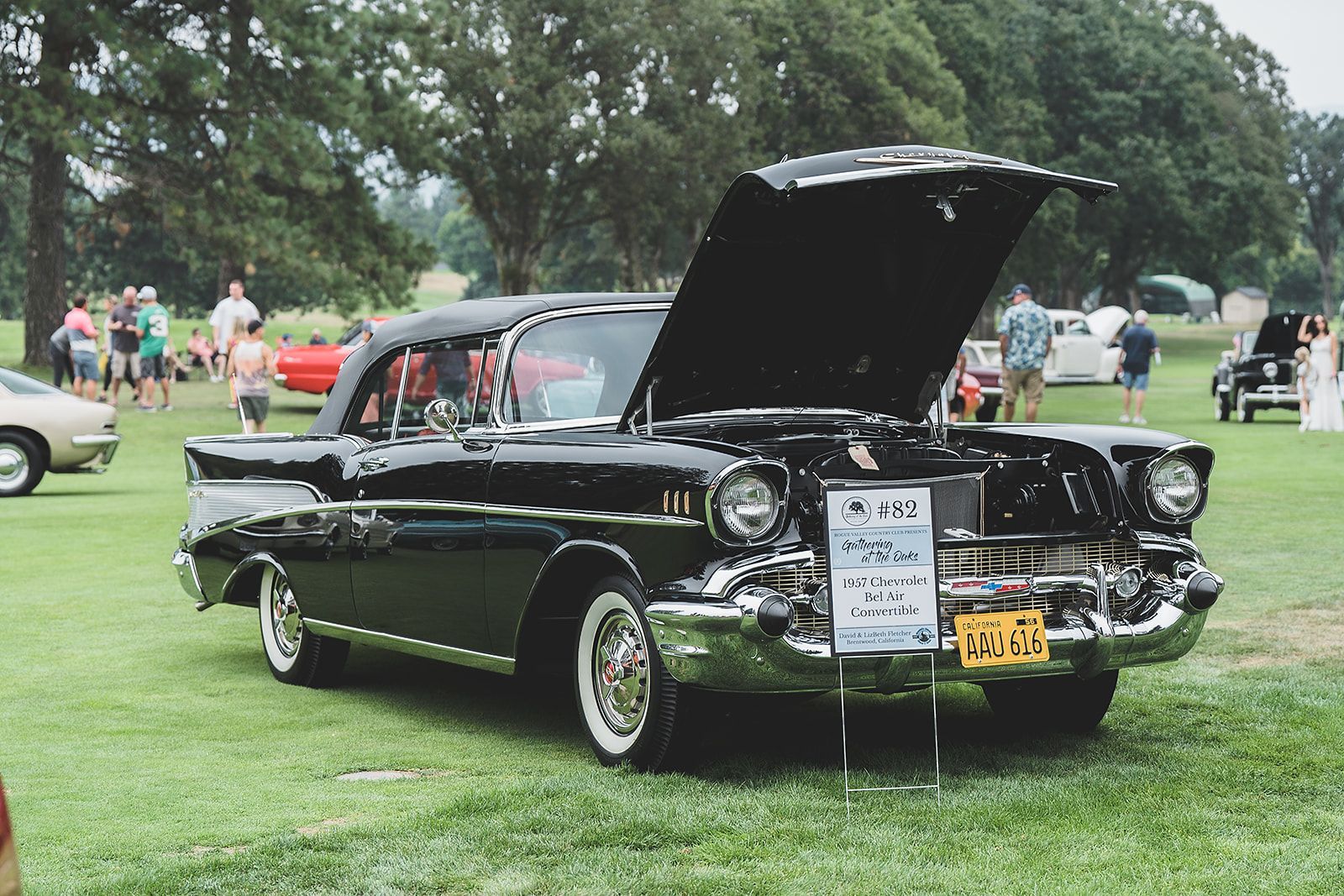 A black car with the hood up is parked in a grassy field.