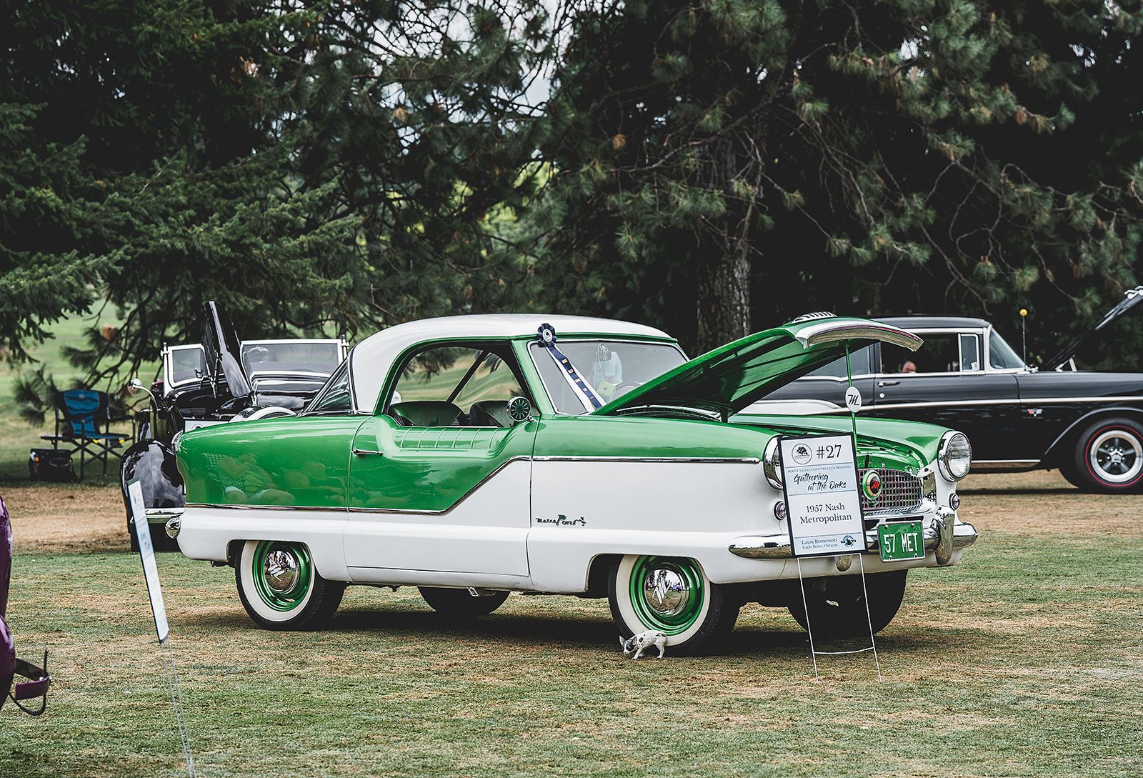 A green and white car with the hood up is parked in a grassy field.