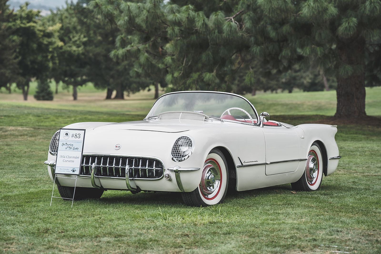 A white corvette is parked in the grass in a park.