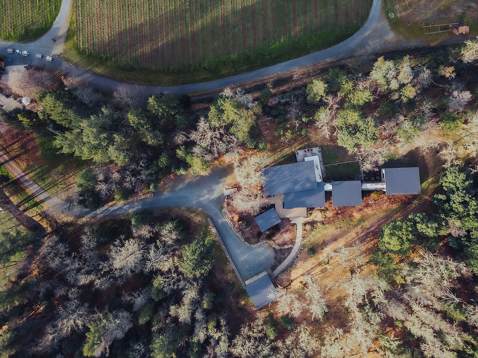 An aerial view of a house in the middle of a forest