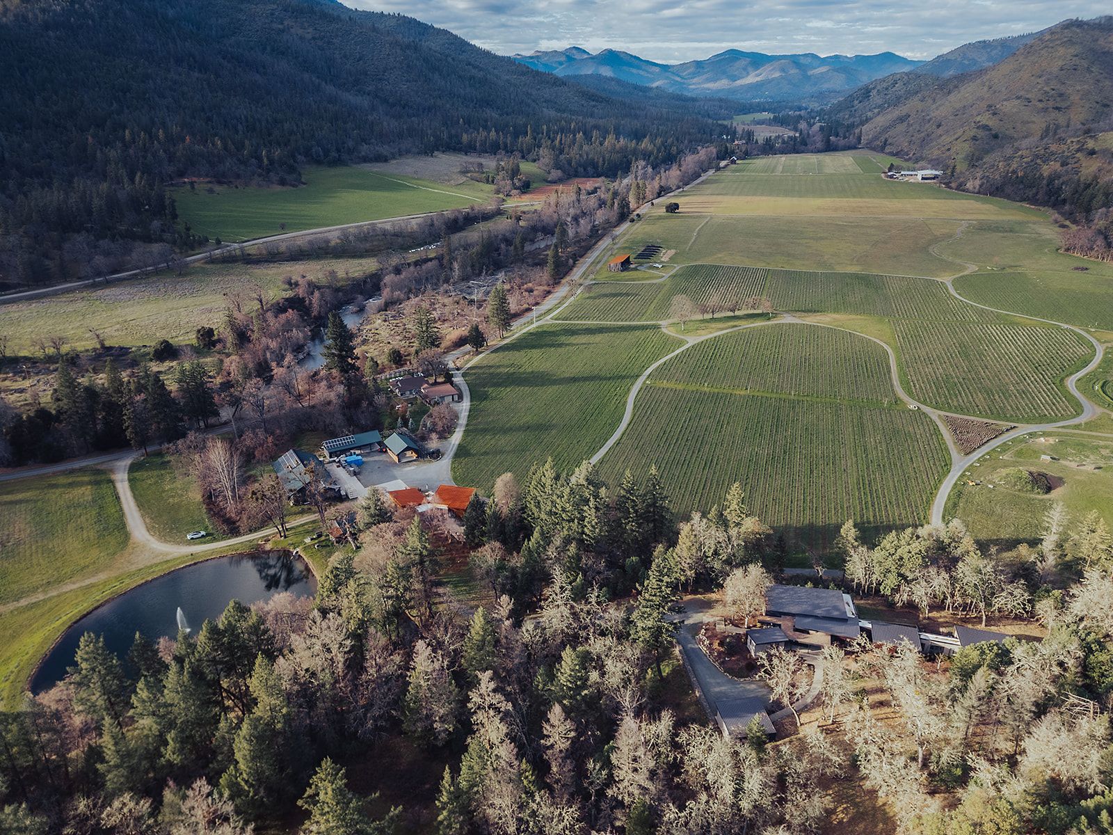 An aerial view of a lush green field surrounded by trees and mountains.