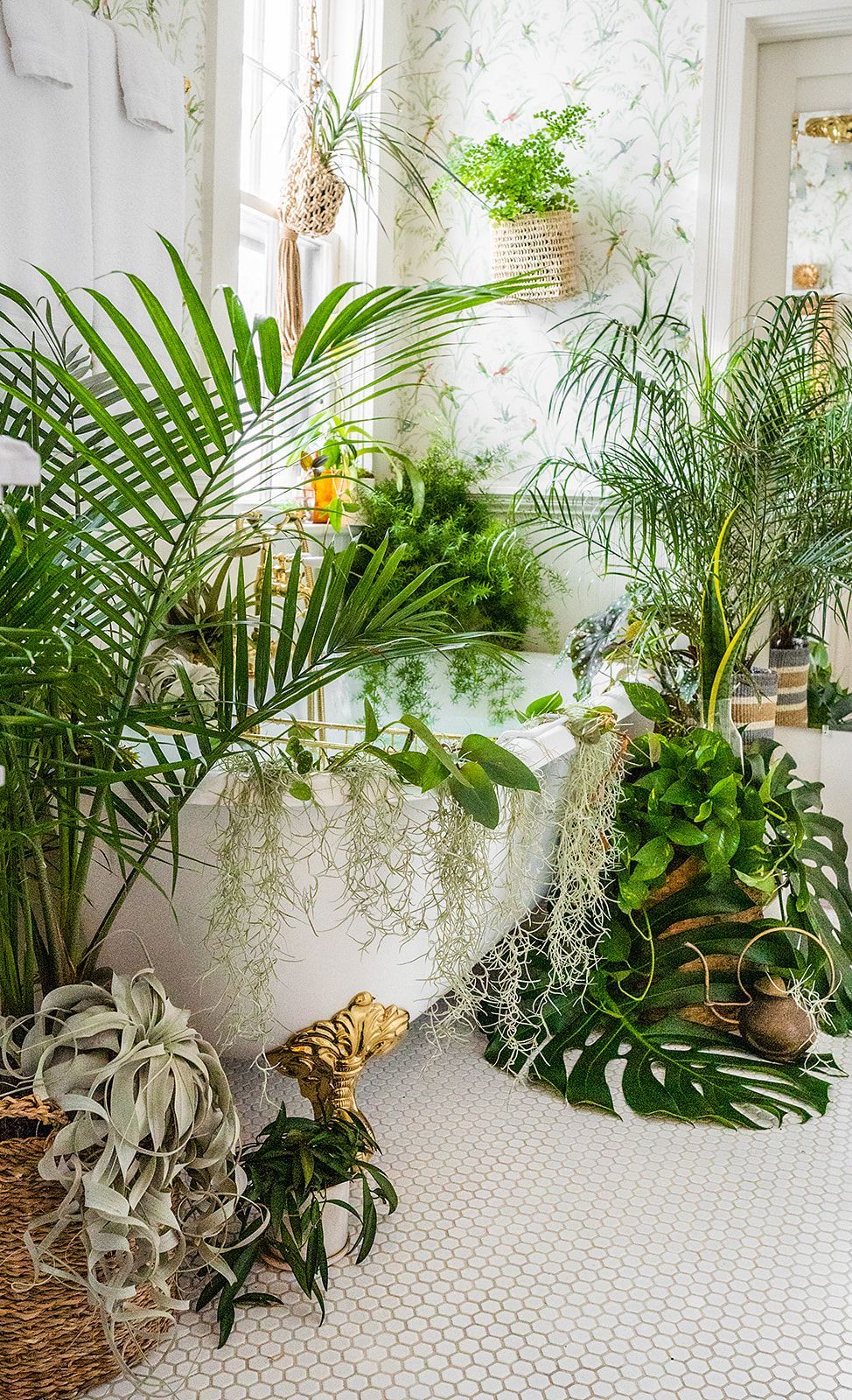 A bathroom filled with lots of plants and a bathtub.