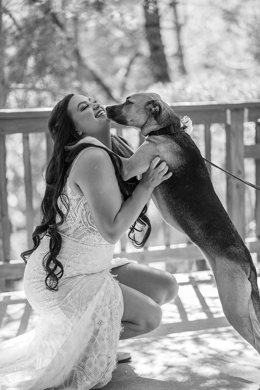 A black and white photo of a bride kissing her dog.