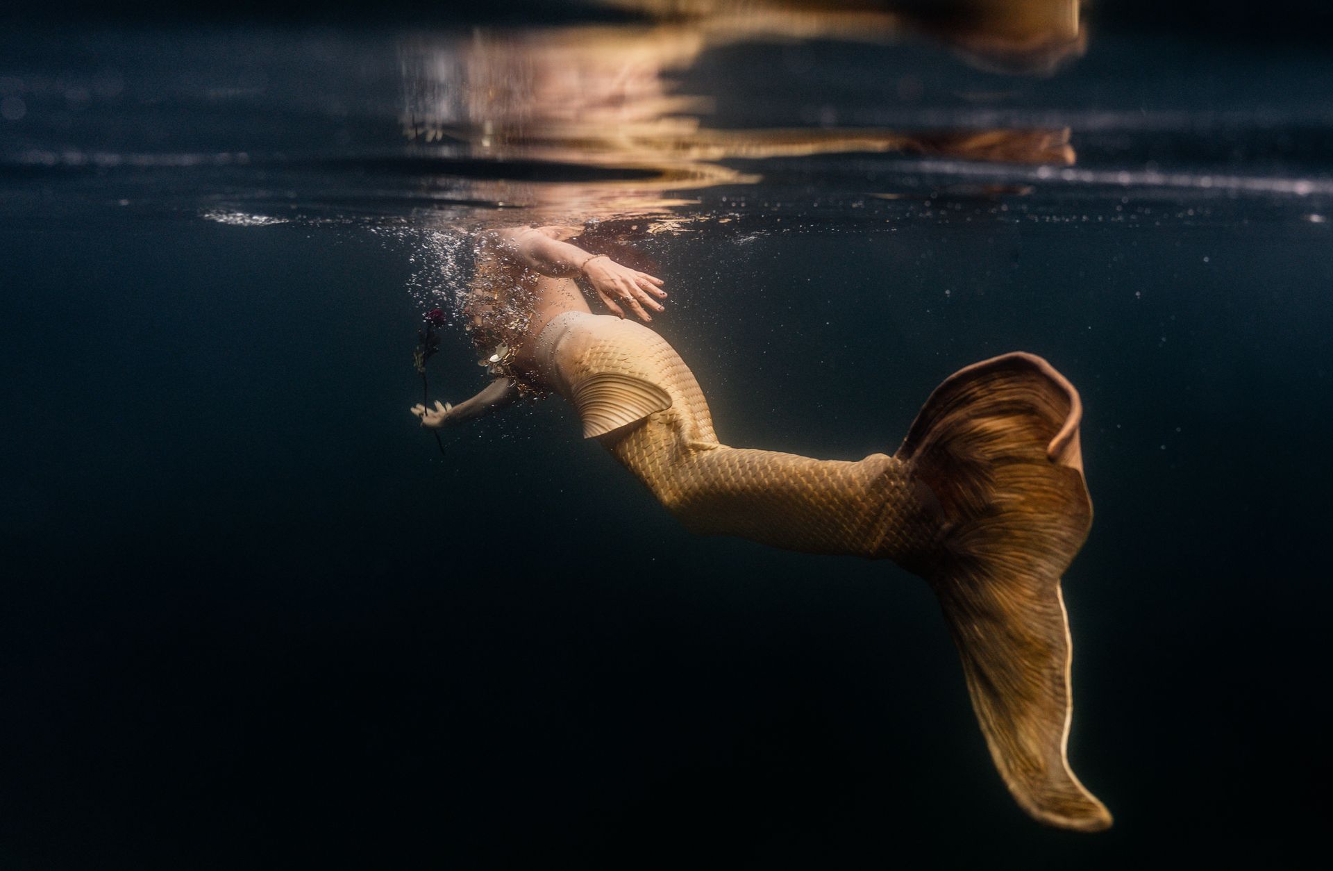 A mermaid is swimming underwater in the ocean.