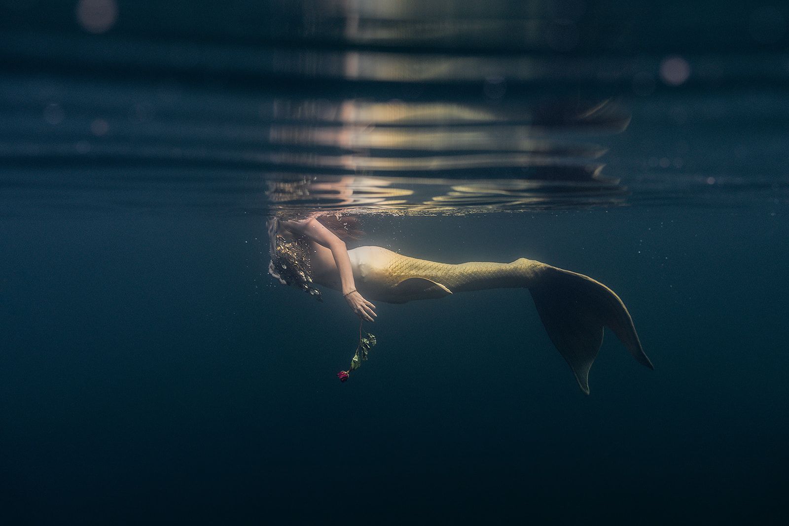 A mermaid is swimming underwater in the ocean.