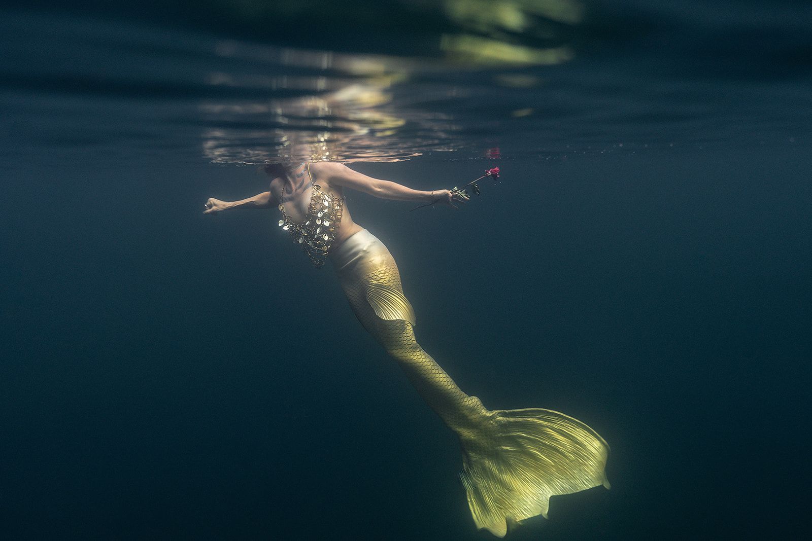 A mermaid is swimming underwater in the ocean.