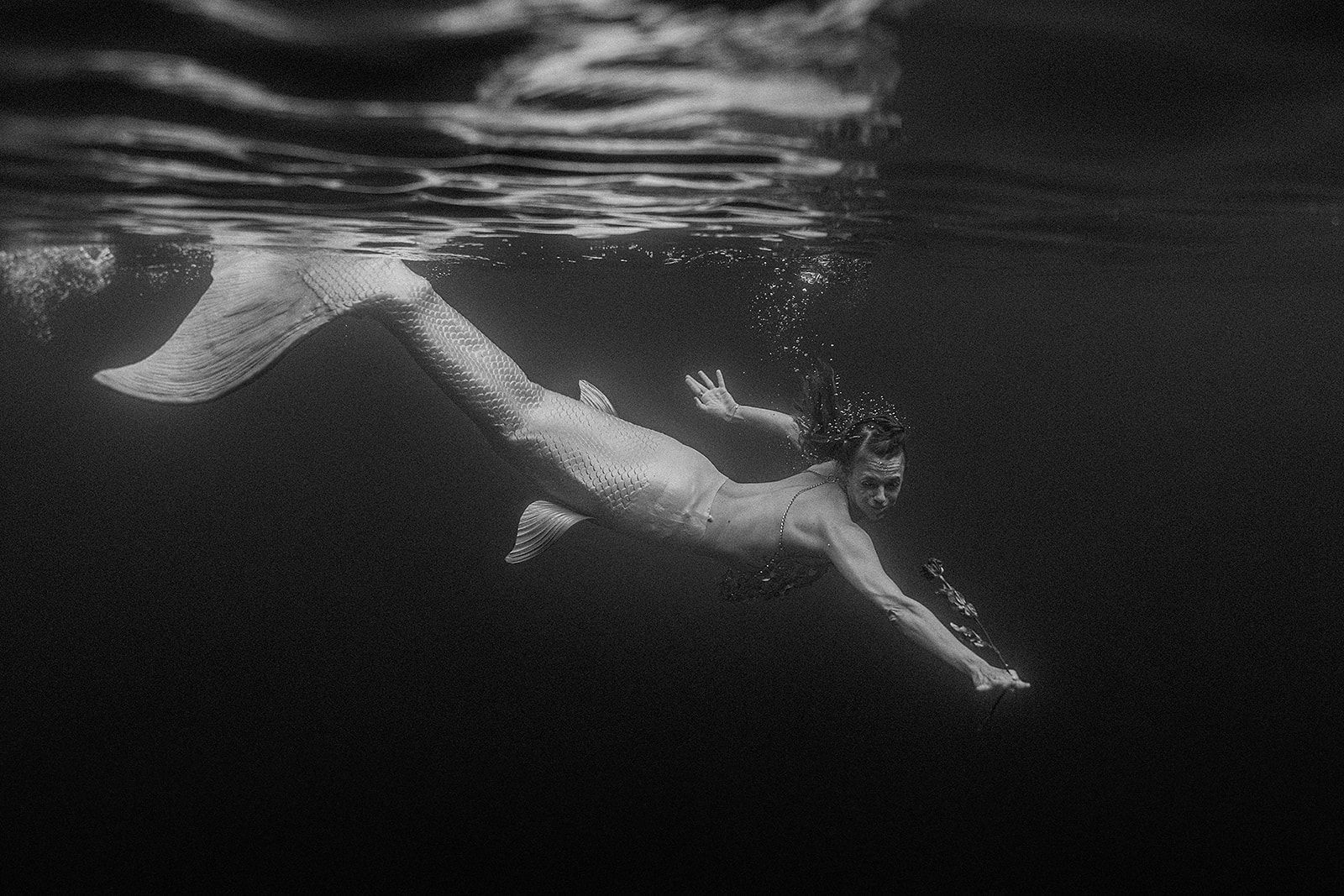 A black and white photo of a mermaid swimming in the ocean.