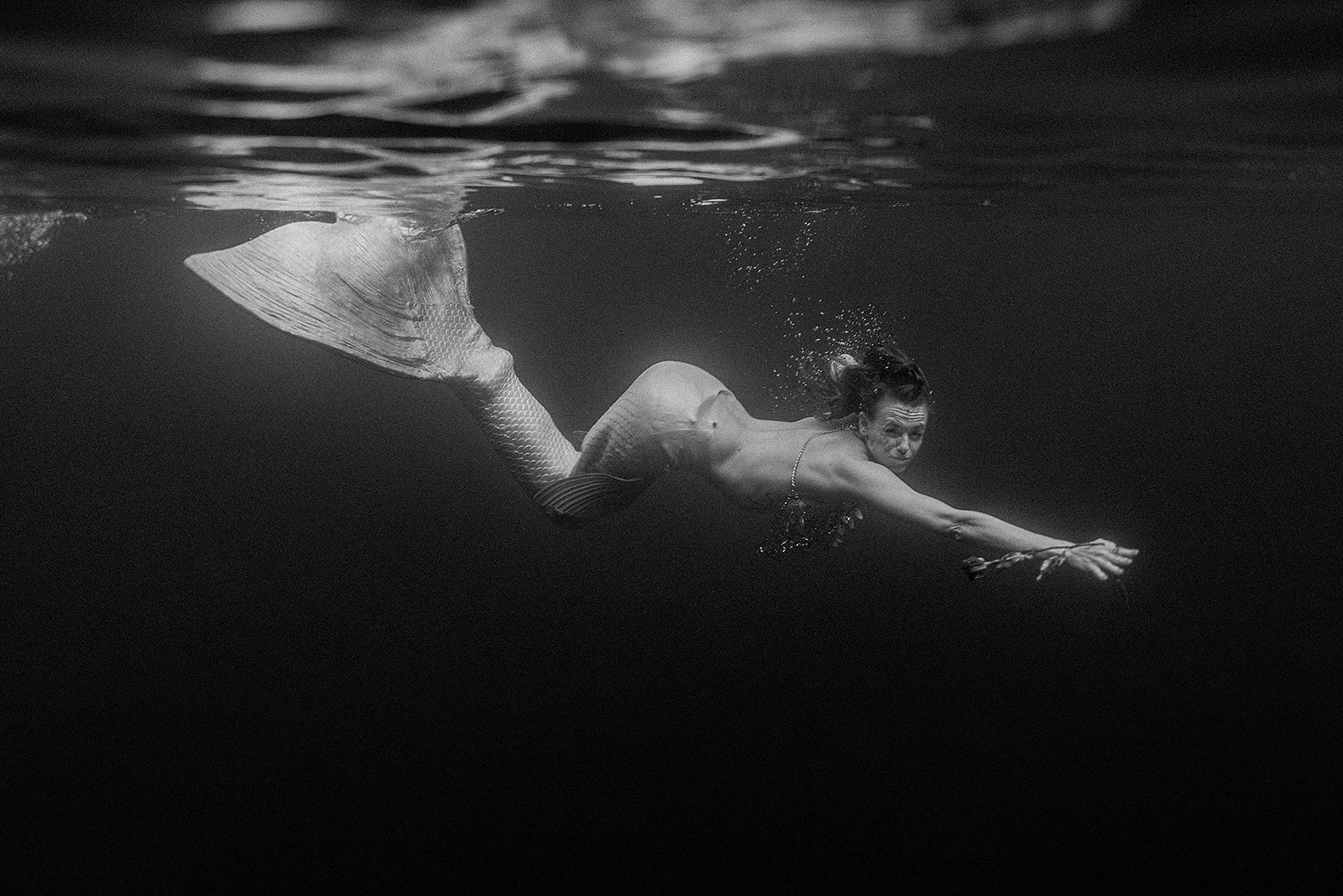 A black and white photo of a mermaid swimming underwater.