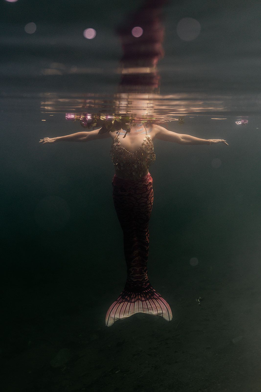 A woman in a mermaid costume is swimming underwater.