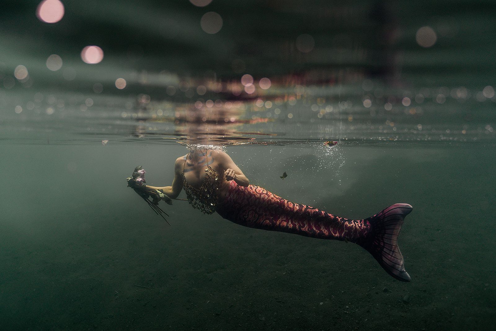 A mermaid is swimming underwater in the ocean.