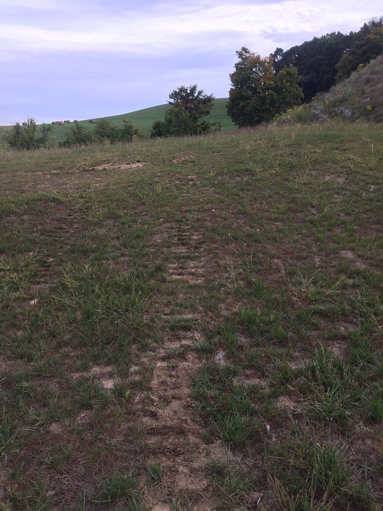 Yard Excavation Services