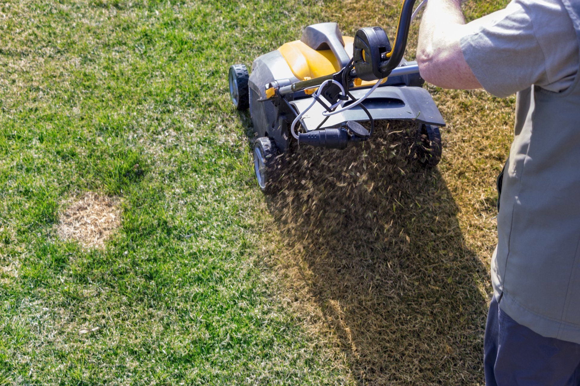 Lawn Aeration South Hills