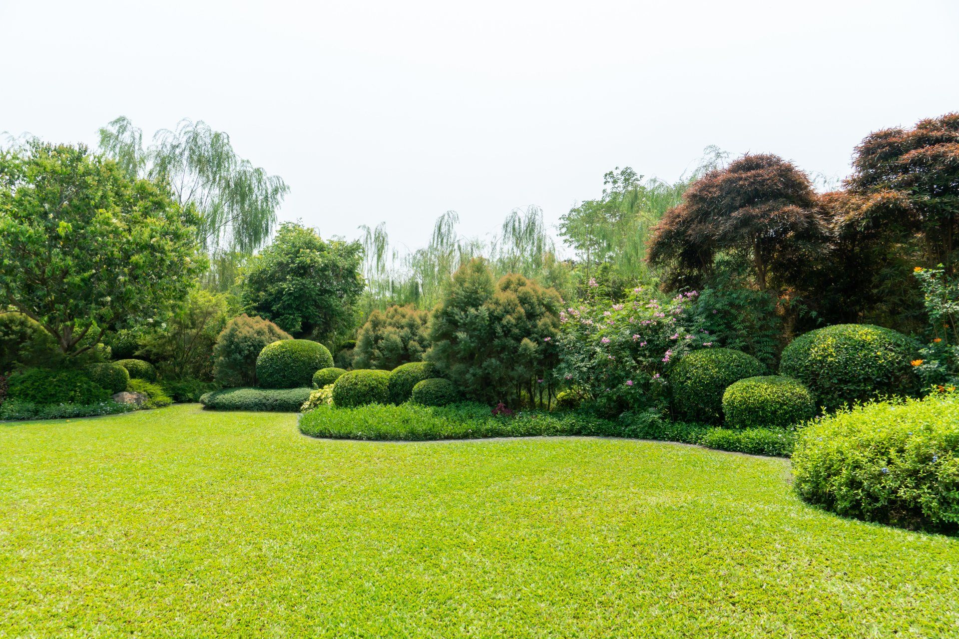 Landscape Design