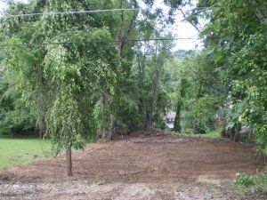 A field with trees and dirt in it and a house in the background