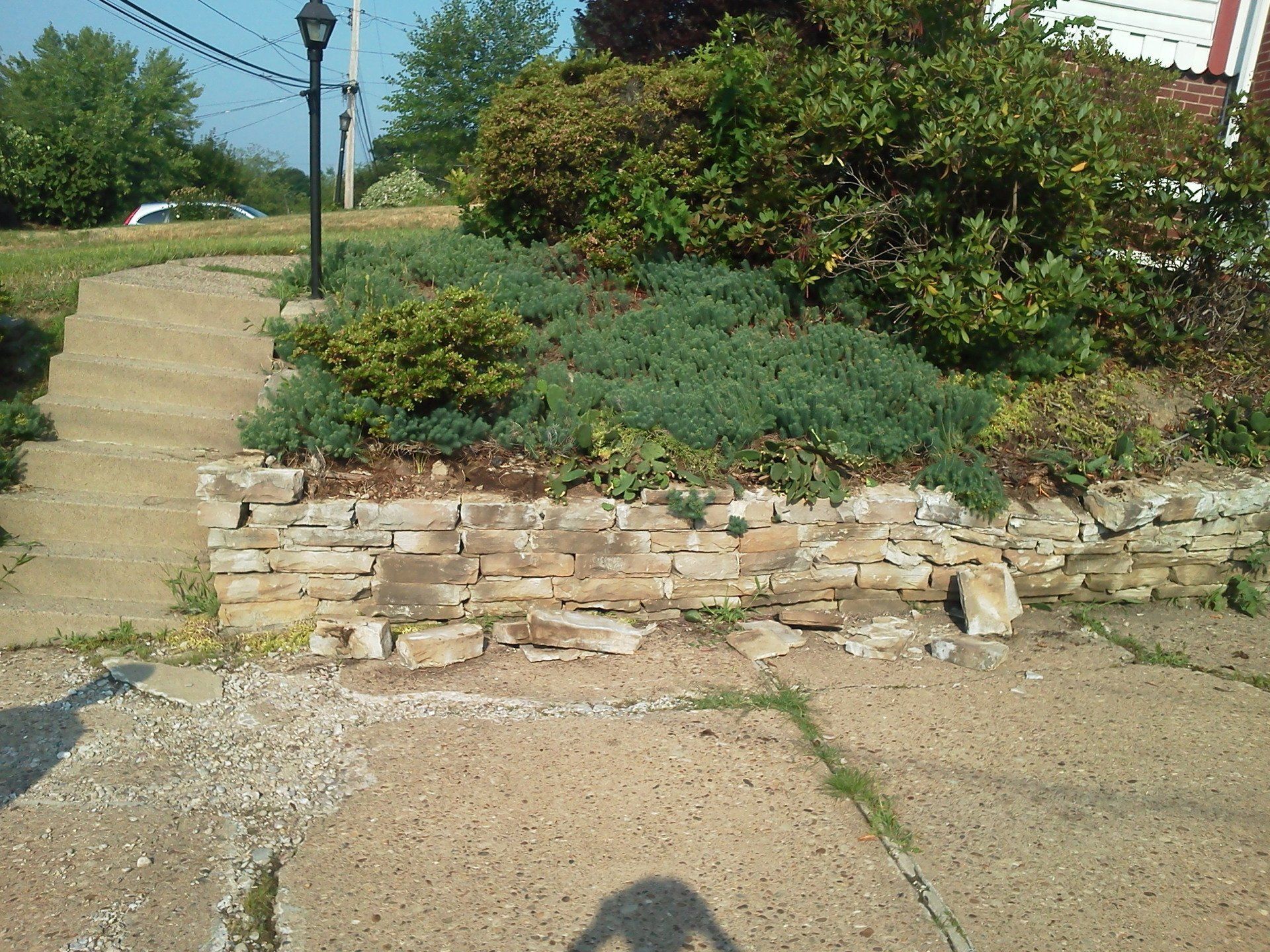 A stone wall with a lot of plants growing on it