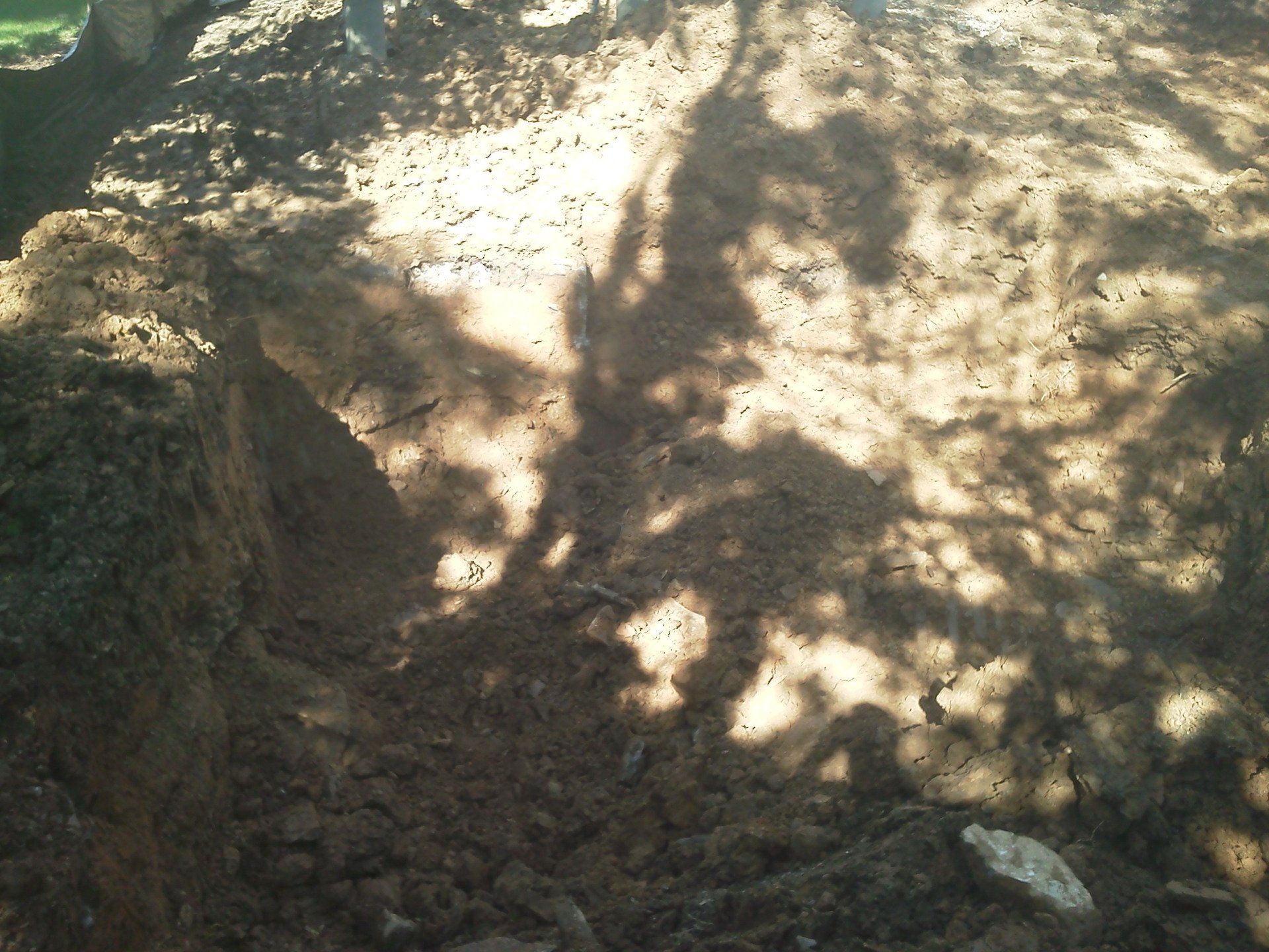 A shadow of a tree is cast on a pile of dirt