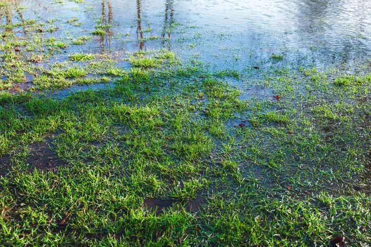 Why Water Pooling in Your Yard Isn't Just Annoying - It's a Risk to Your Home