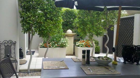 Beautiful garden renovated by experts