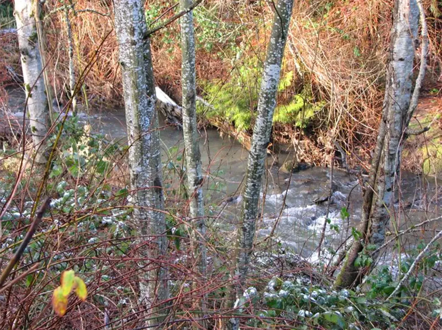 Beavercreek Meadows - 26719 SE Stark St, Troutdale, OR 97060 - SMI Property Management