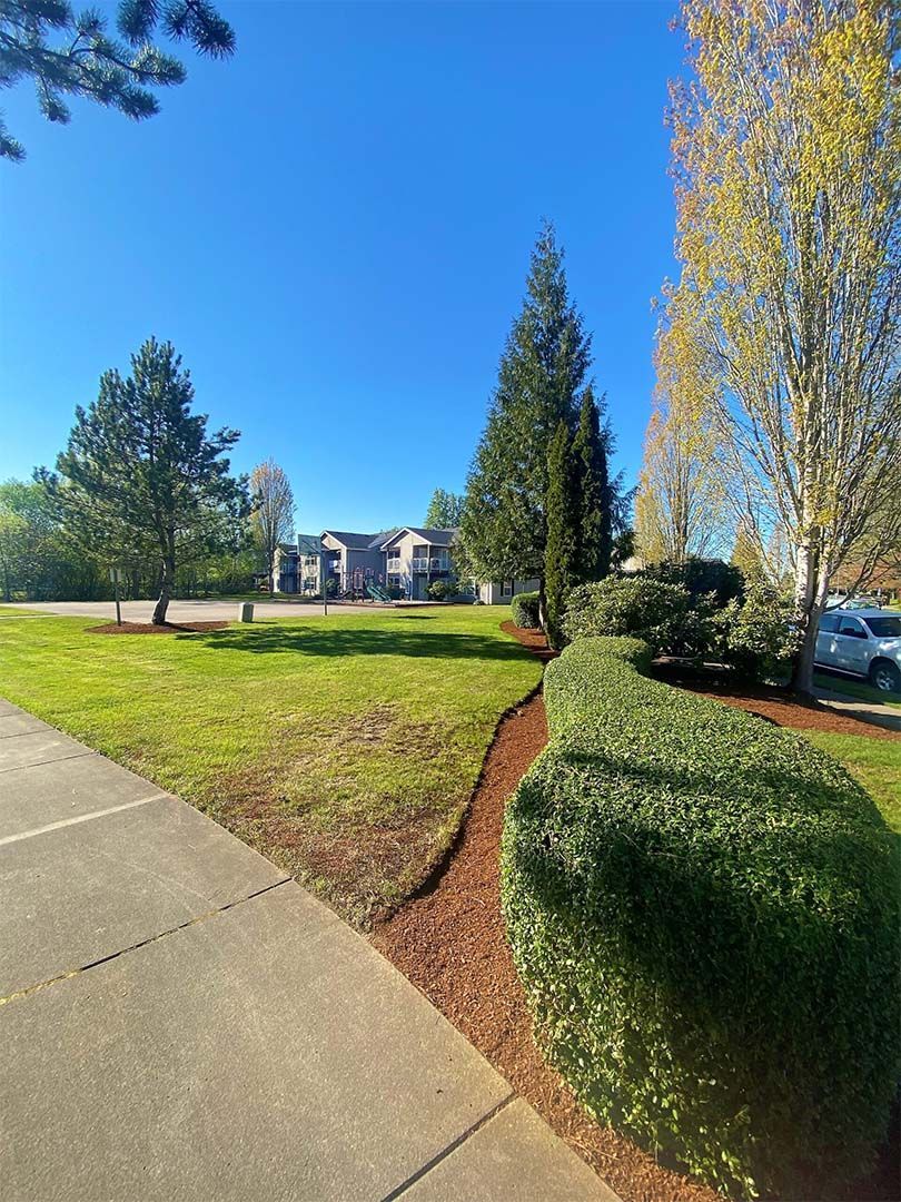 SMI Property Management - Sunrise Pointe - 3320 Jackson Street SE, Albany, OR 97322