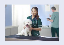 Vet posing with small white dog