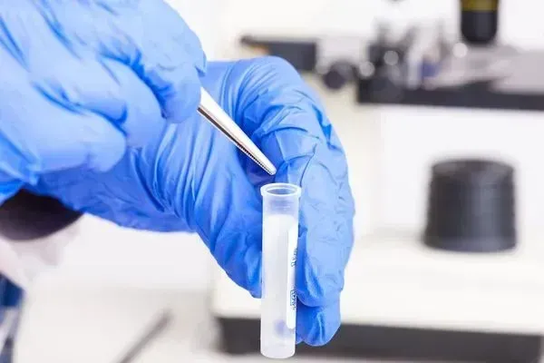 A person wearing blue gloves is holding a test tube in their hand.