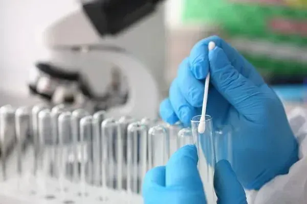 A scientist is holding a swab in a test tube in front of a microscope.