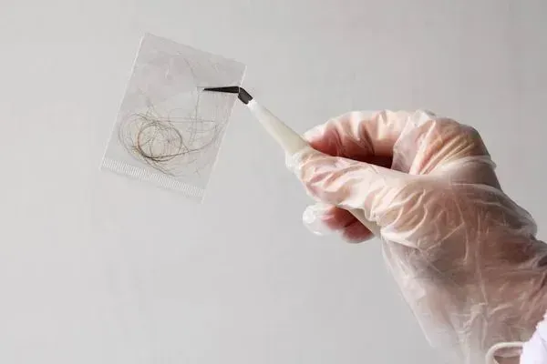 A person wearing gloves is holding a tweezer over a piece of paper.