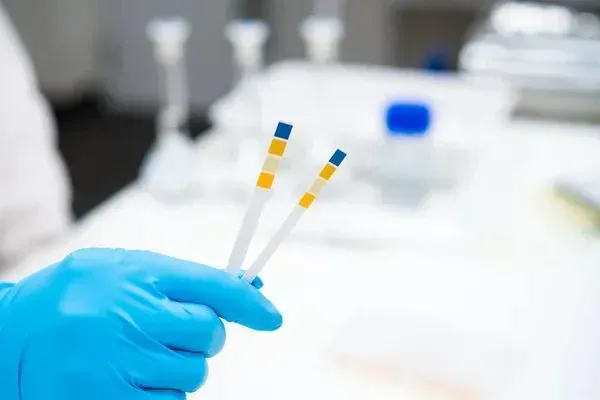 A person wearing blue gloves is holding two test tubes in their hand.