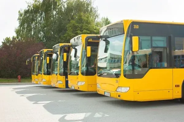 A row of yellow buses are parked in a parking lot.